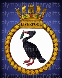 HMS Liverpool Magnet